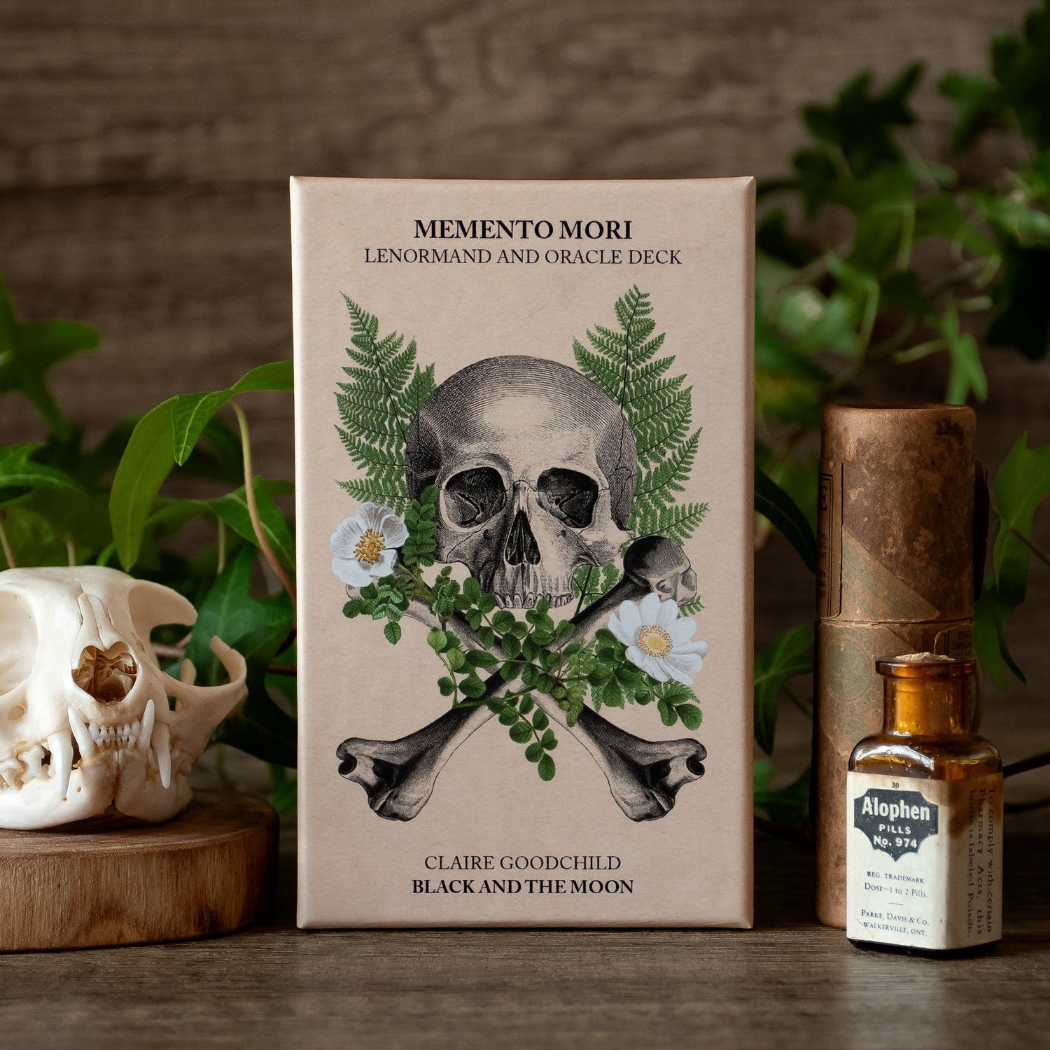 The Memento Mori Oracle Deck
