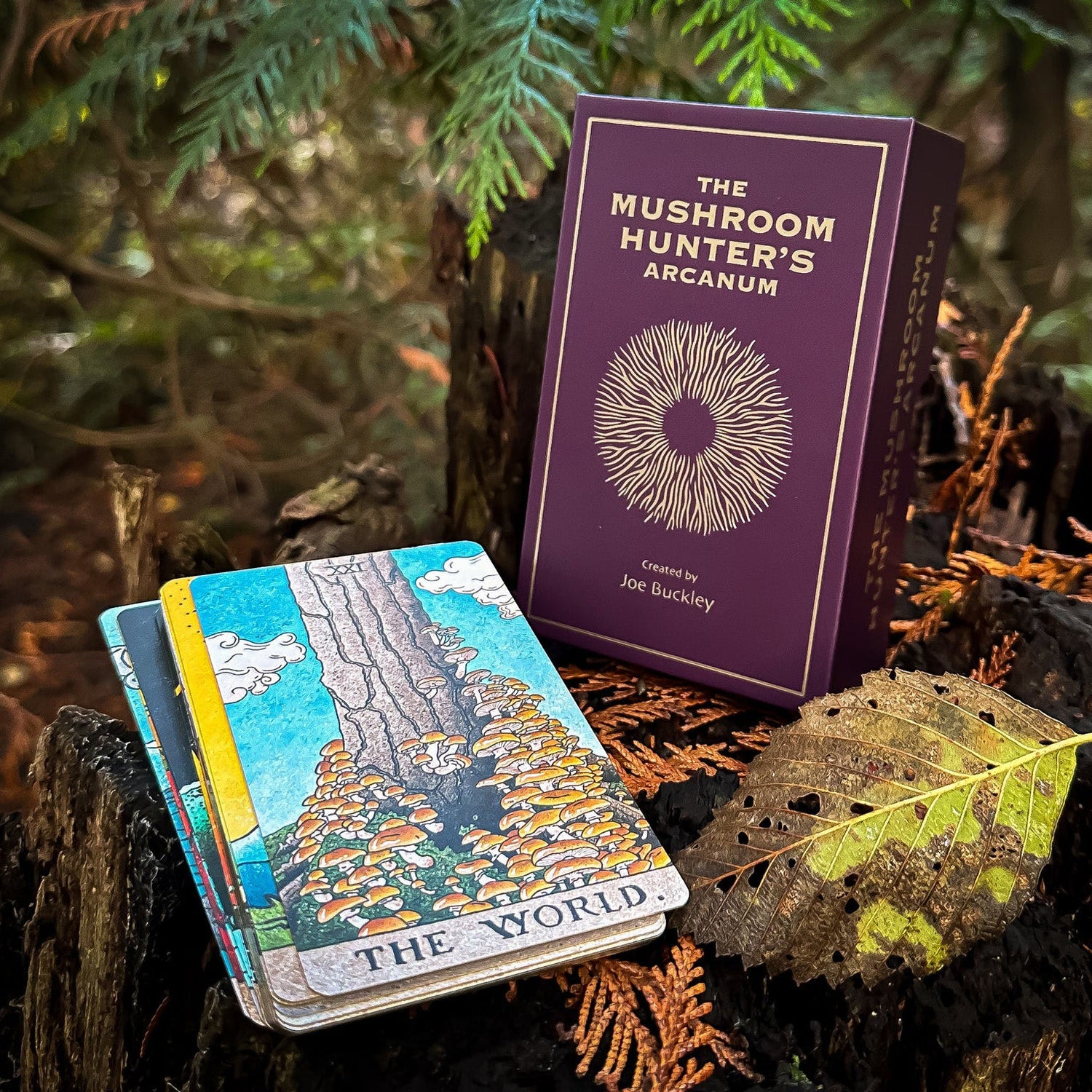 The Mushroom Hunter’s Arcanum