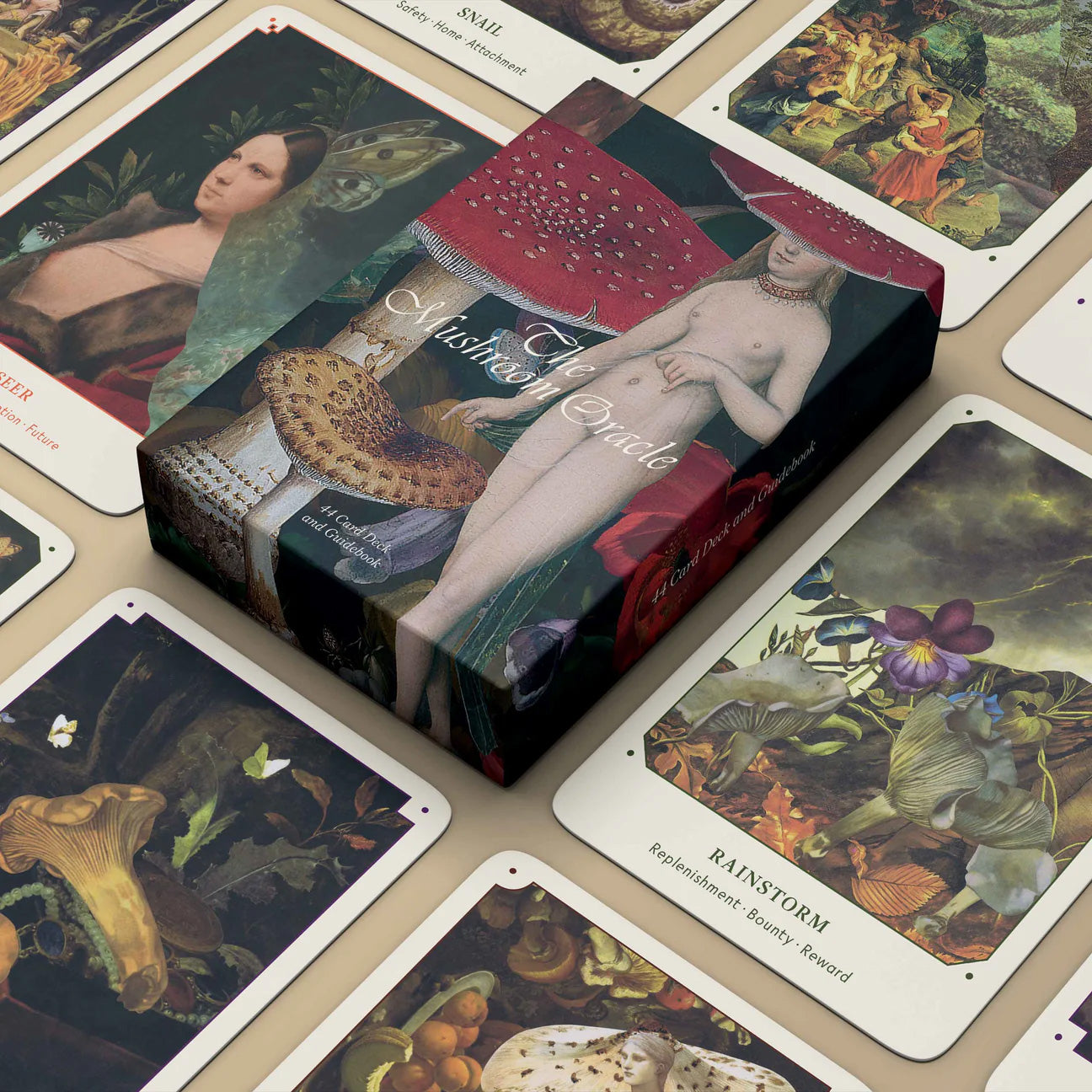 Let’s Celebrate Mushrooms! 🍄