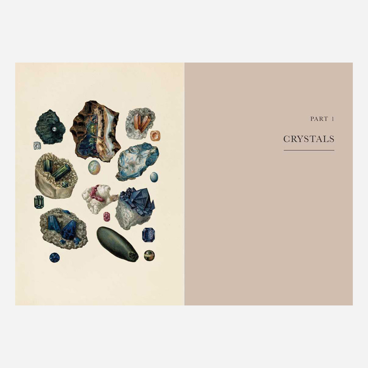 A Practical Guide To Magic in Nature