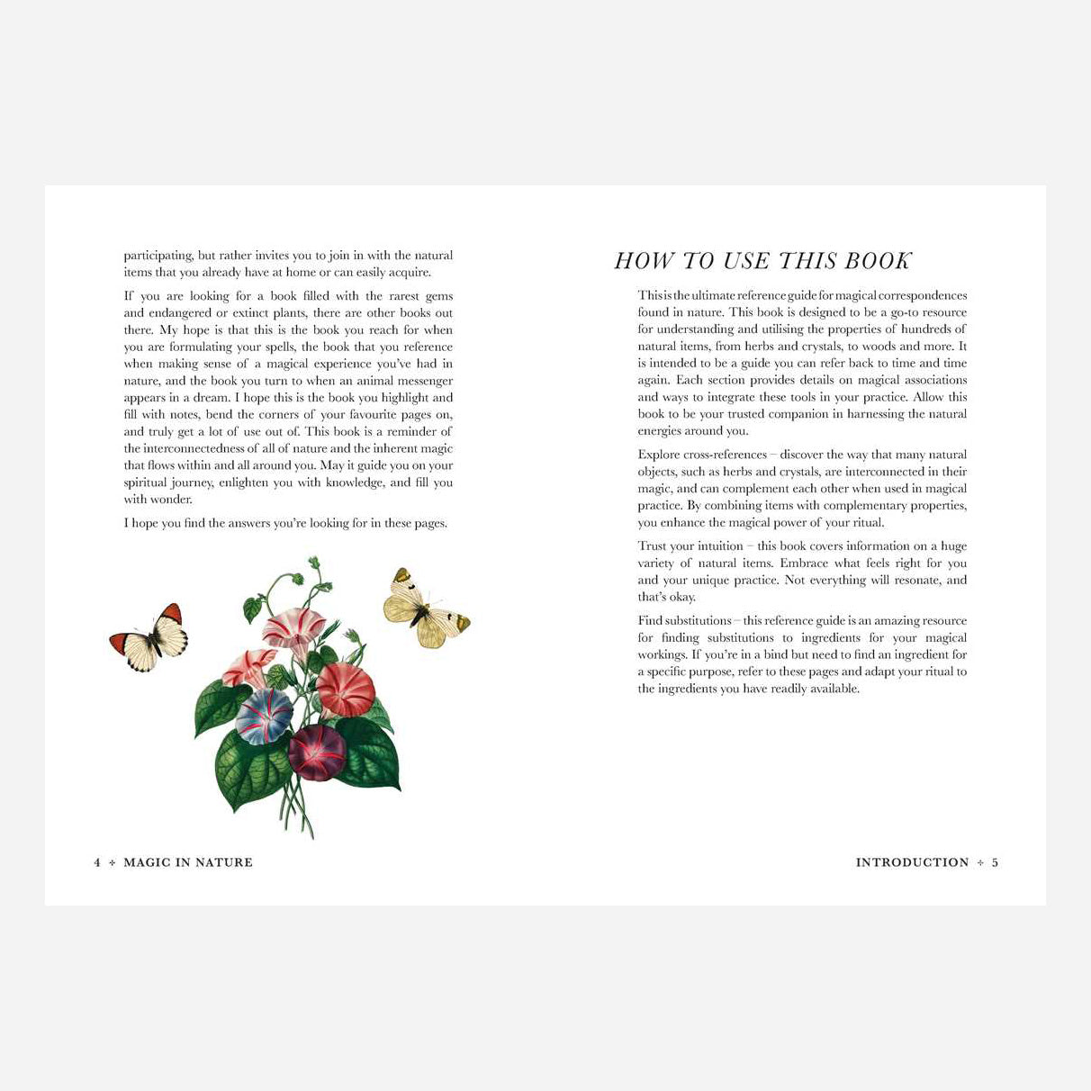 A Practical Guide To Magic in Nature