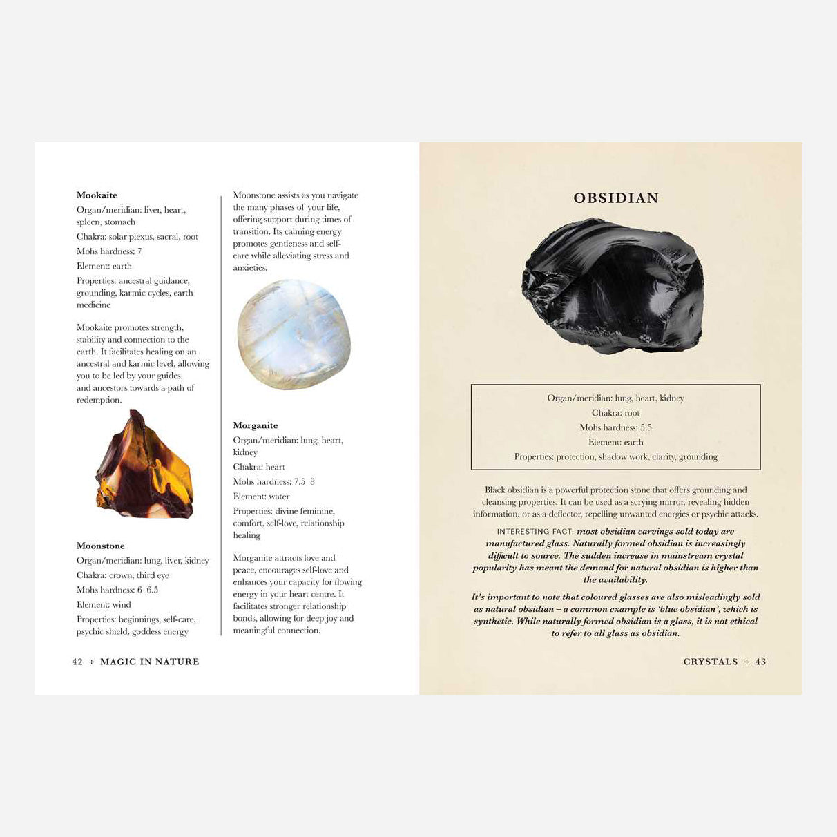 A Practical Guide To Magic in Nature