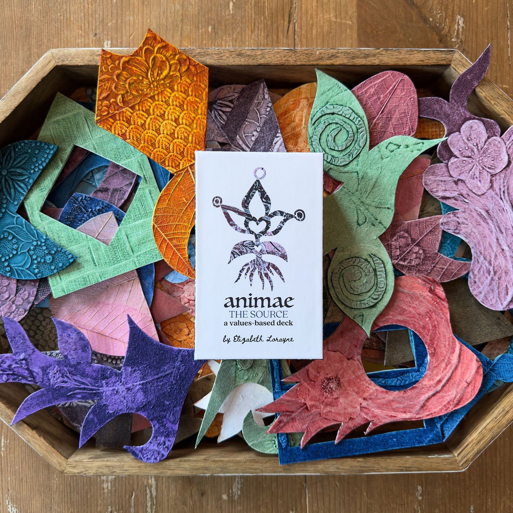 Animae: The Source