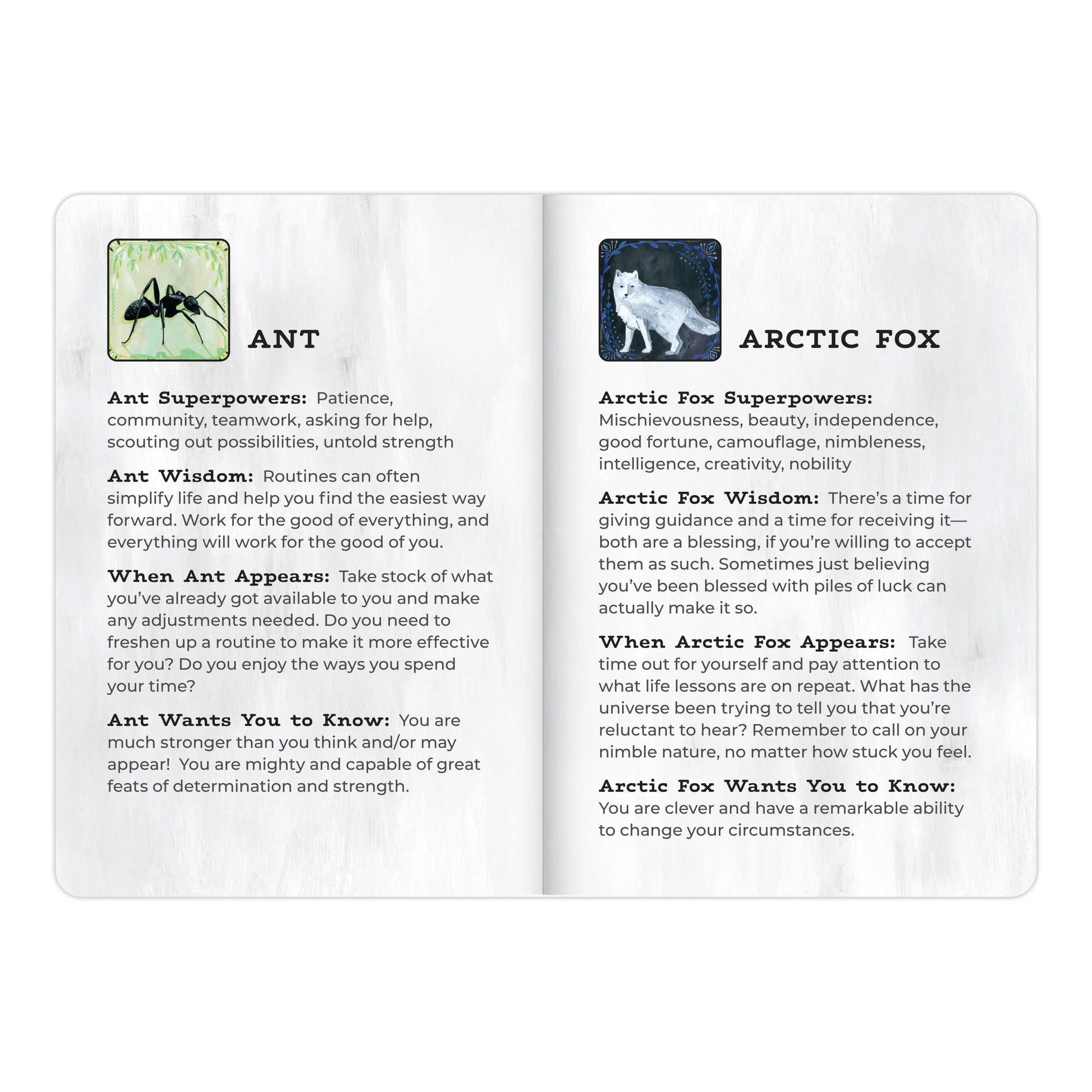 Animal Allies Oracle Deck