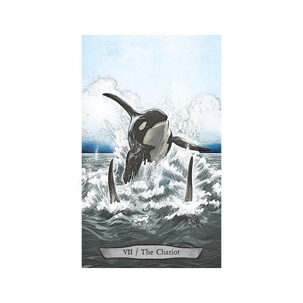 Animal Totem Tarot
