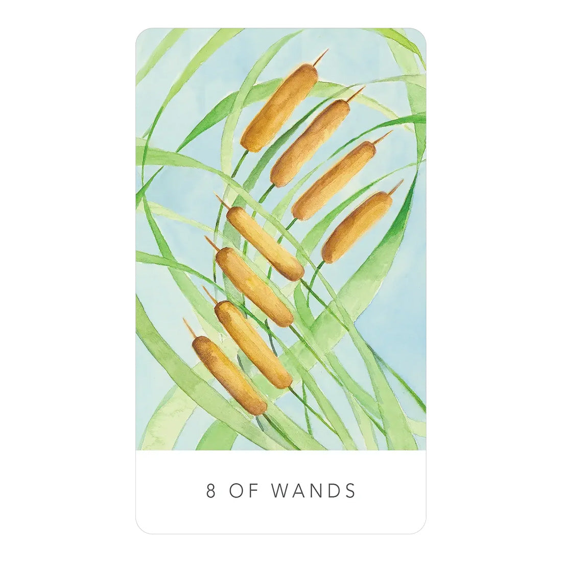 Black Seed Tarot