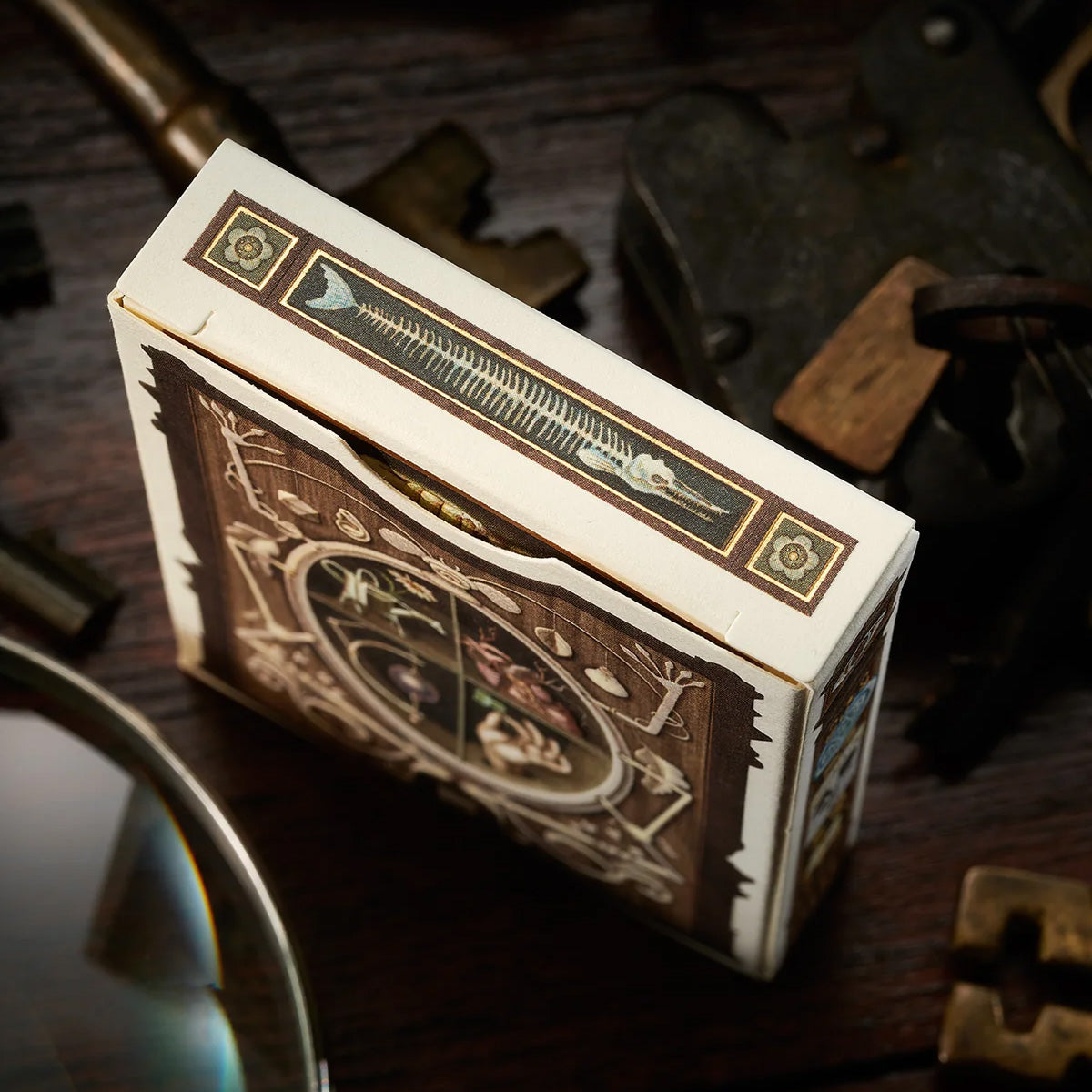 Cabinetarium Playing Cards