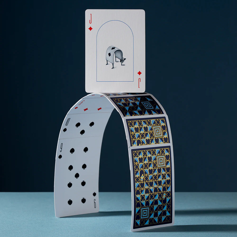 Curious Wonders Playing Cards