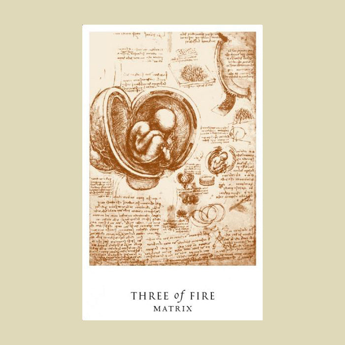 Da Vinci Enigma Tarot
