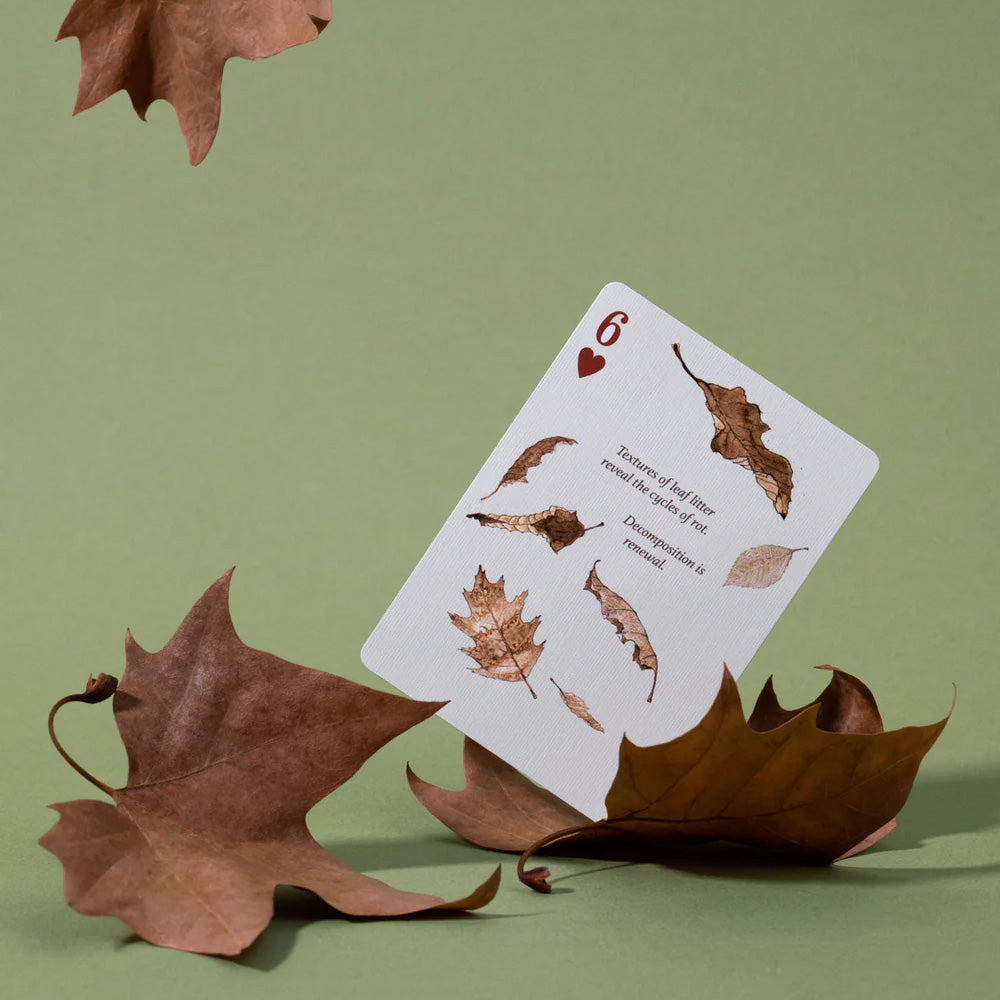 Eastern Forest Playing Cards