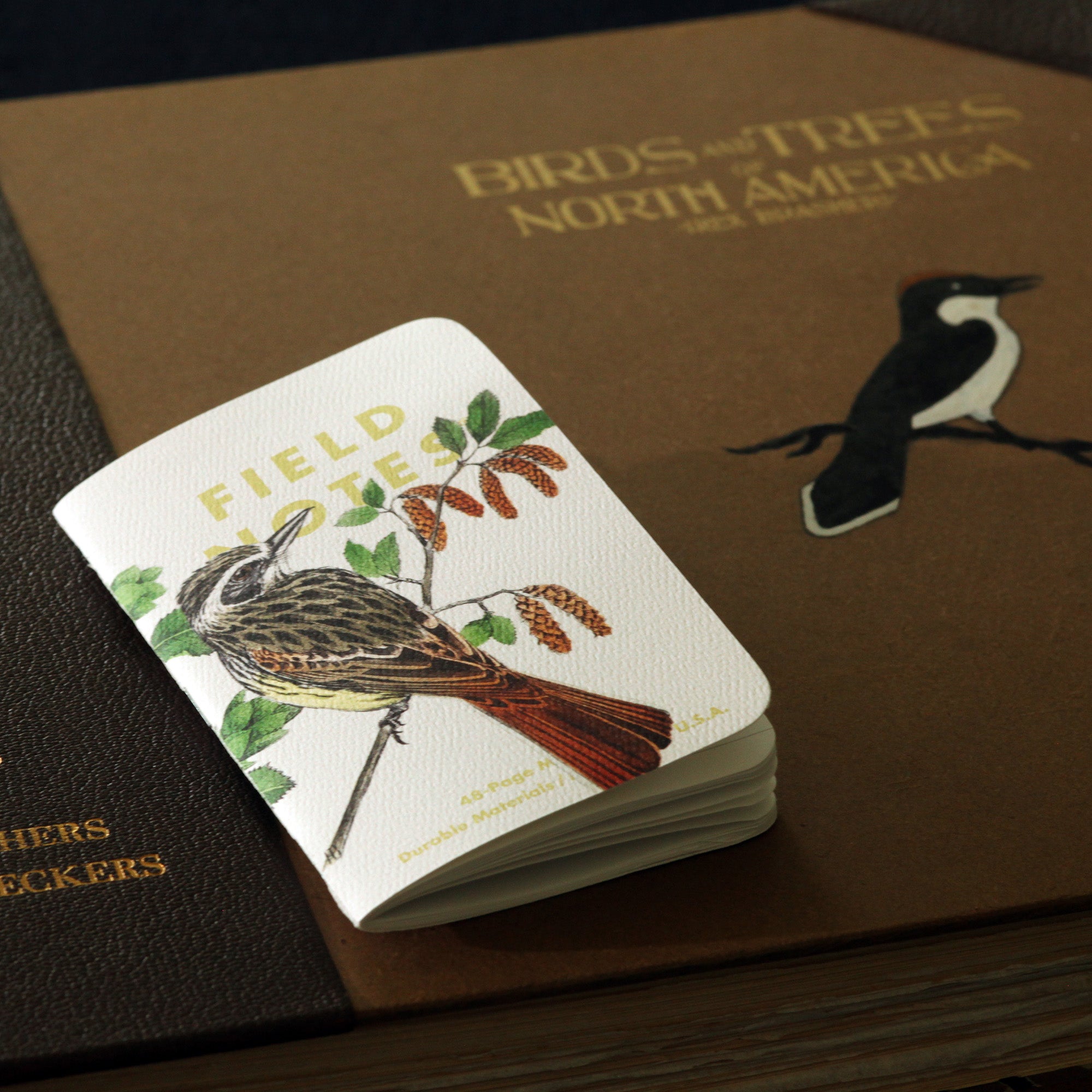 Birds and Trees of North America