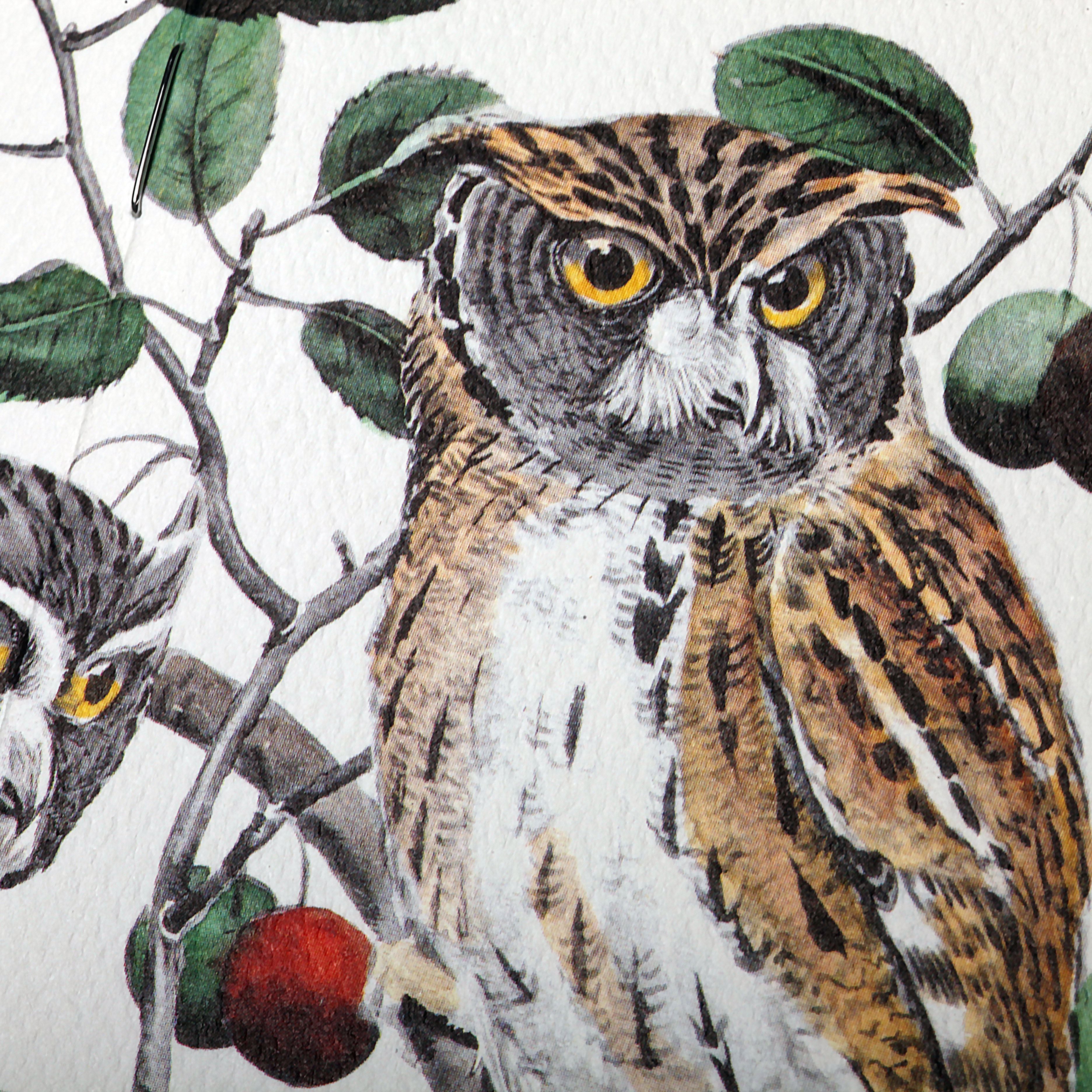 Birds and Trees of North America