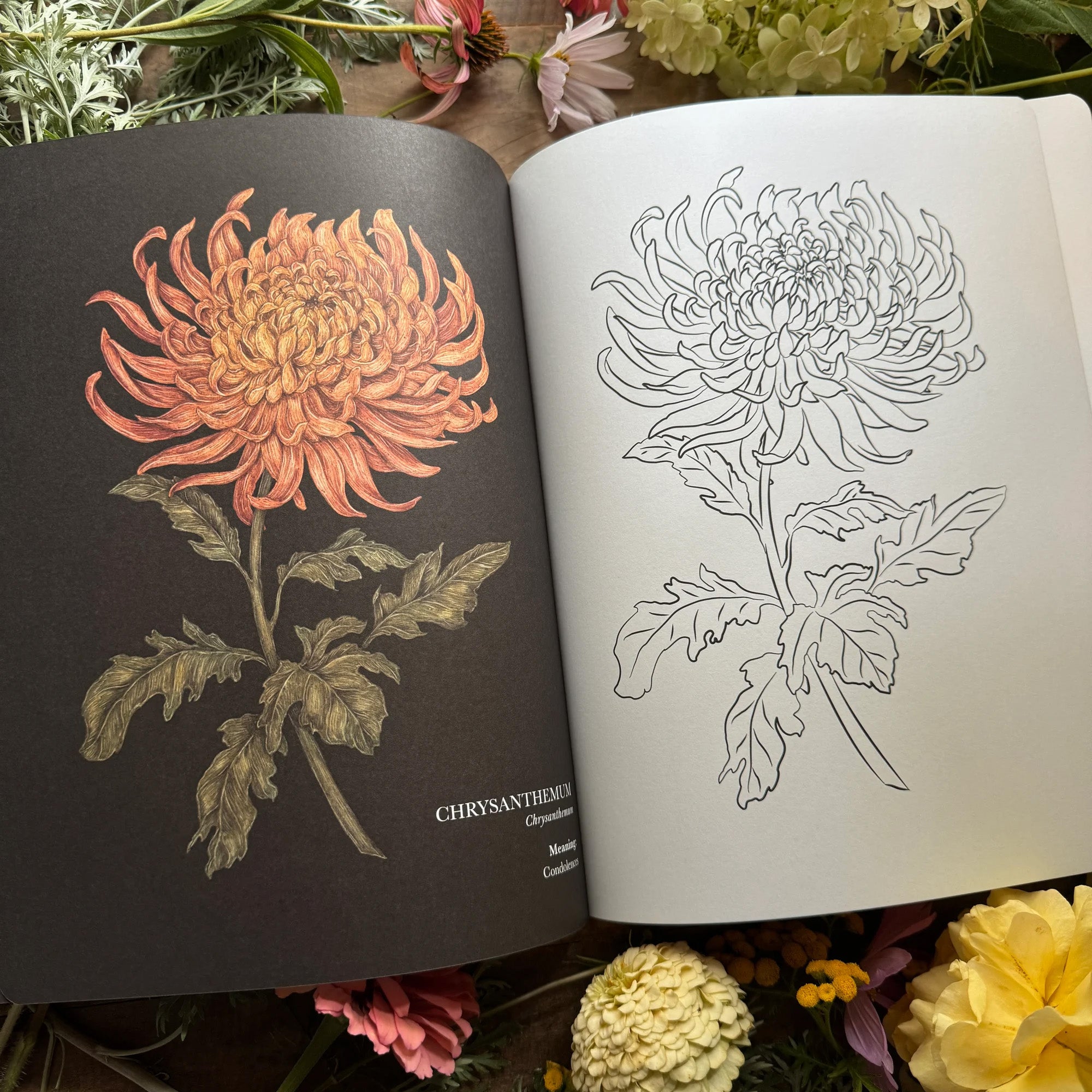 Floriography Coloring Book
