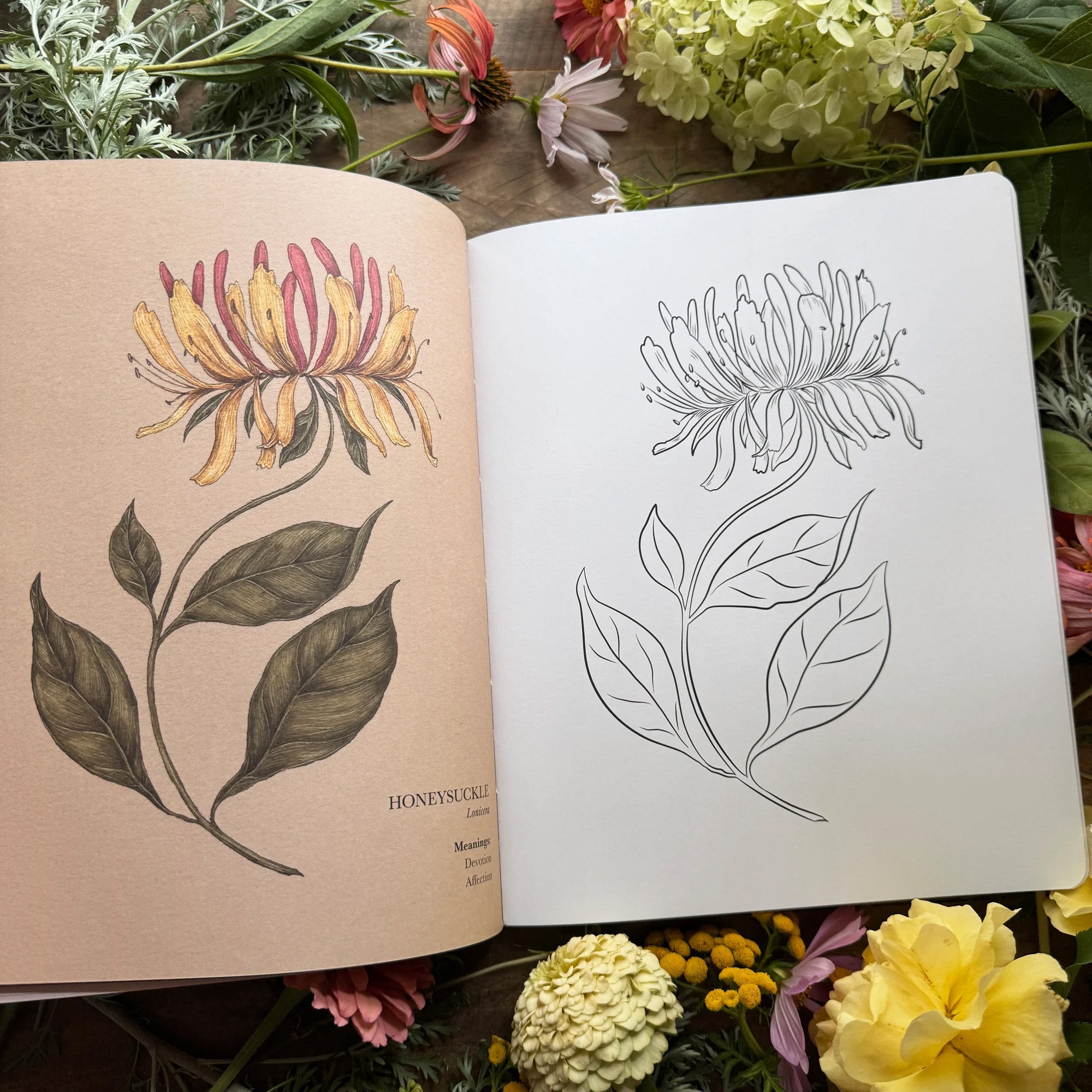 Floriography Coloring Book
