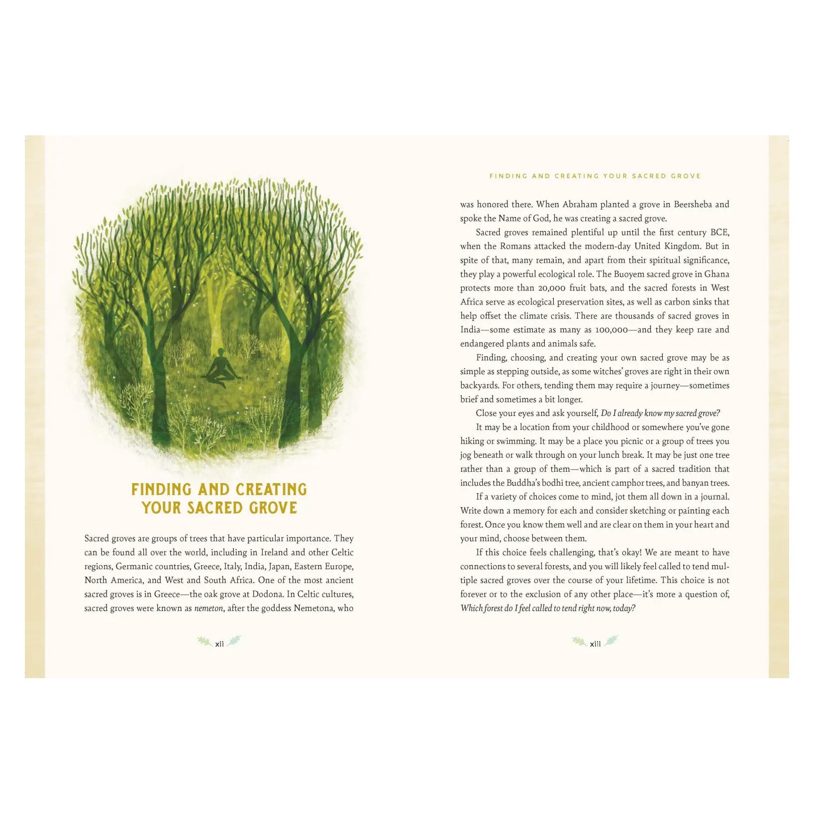 Forest Magic: Rituals and Spells for Green Witchcraft