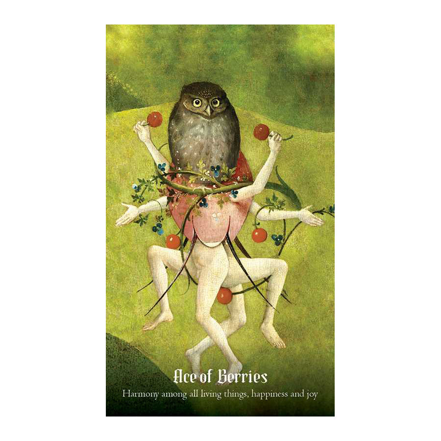Hieronymus Bosch Tarot