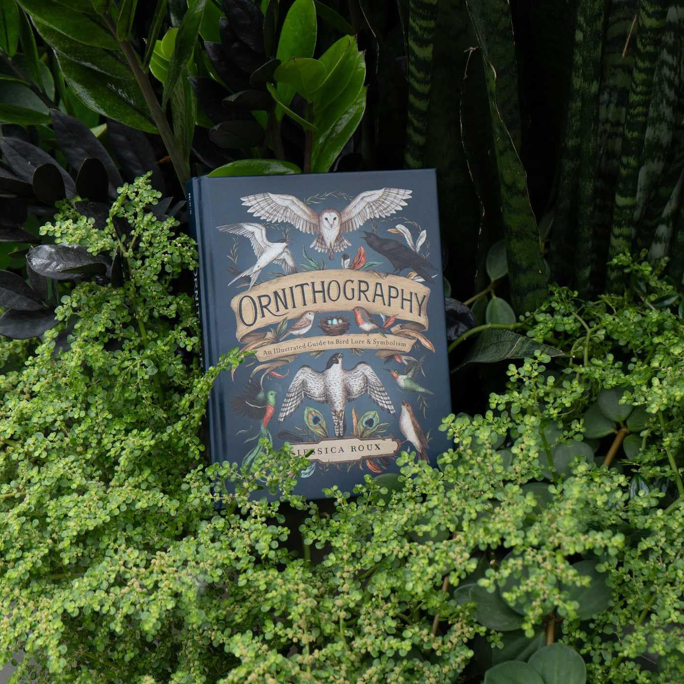 Ornithography