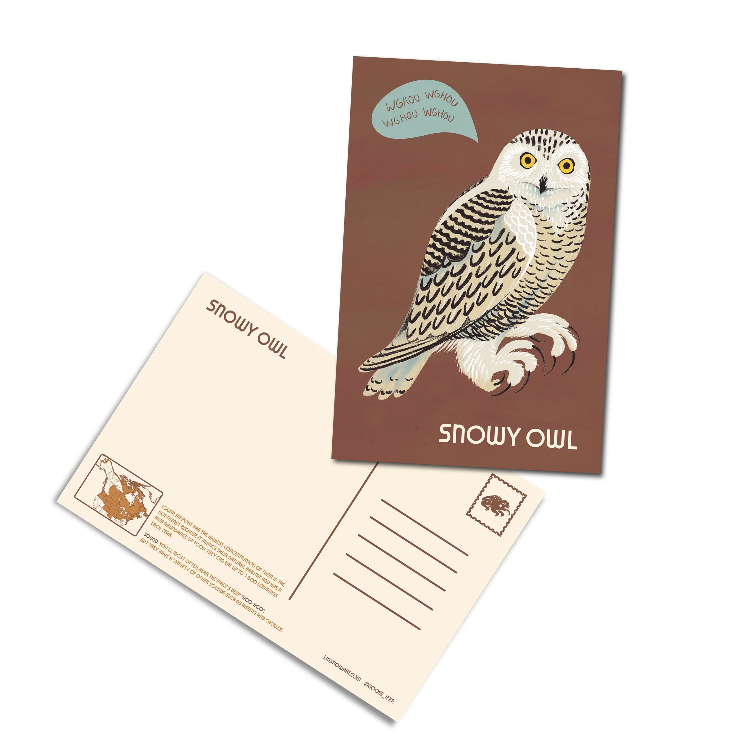 Owls of North America Postcard Pack