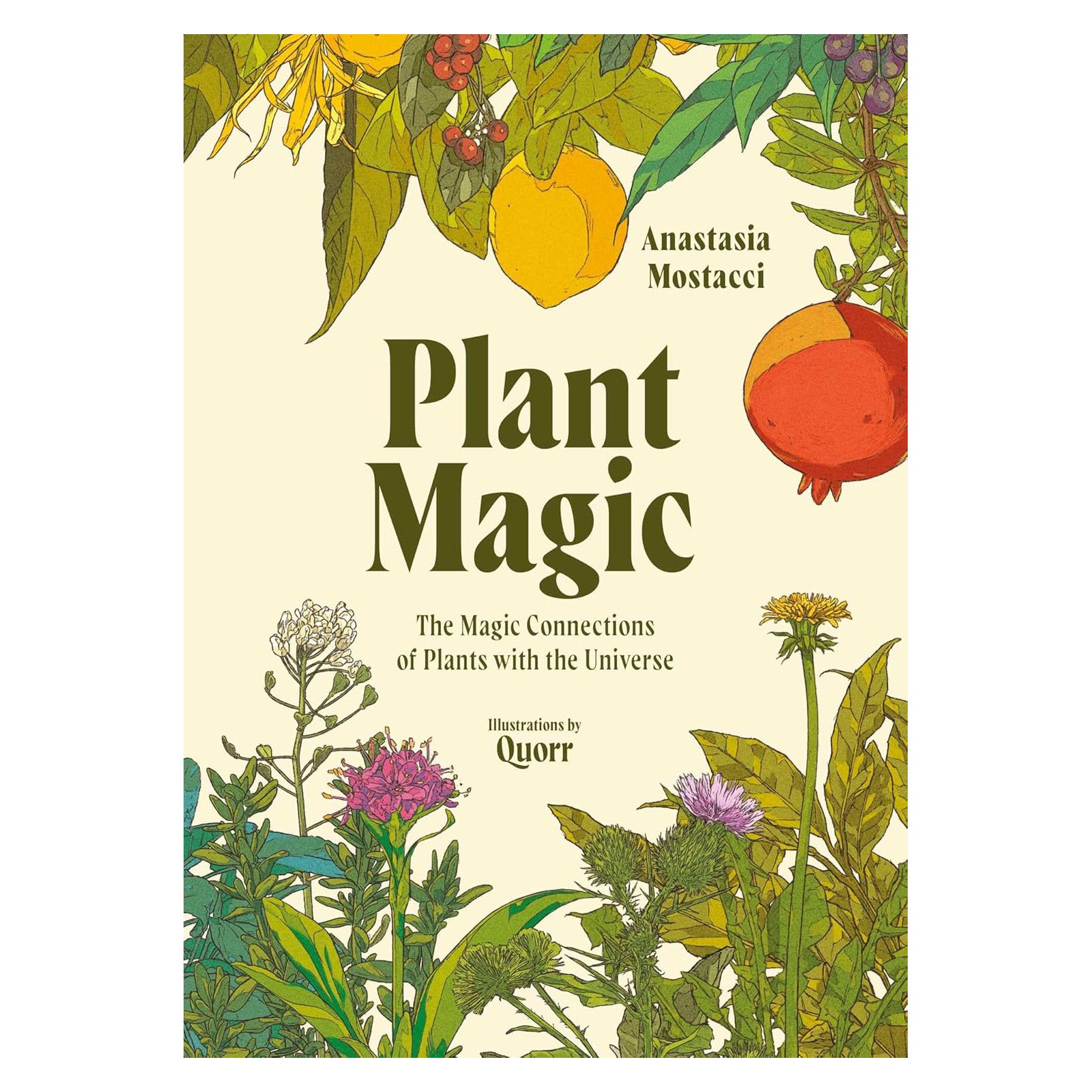 Plant Magic