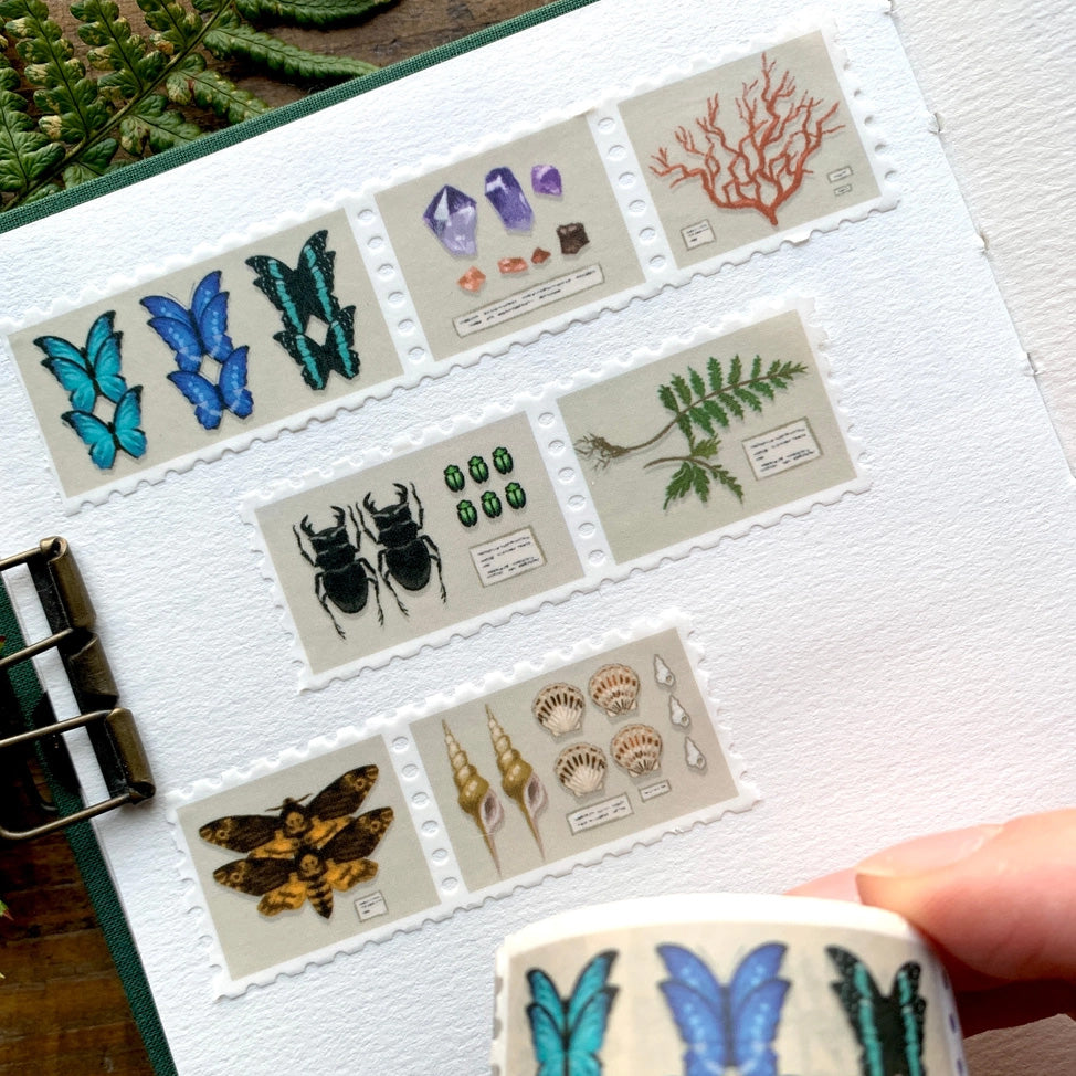 Specimen Drawer Stamp Washi Tape