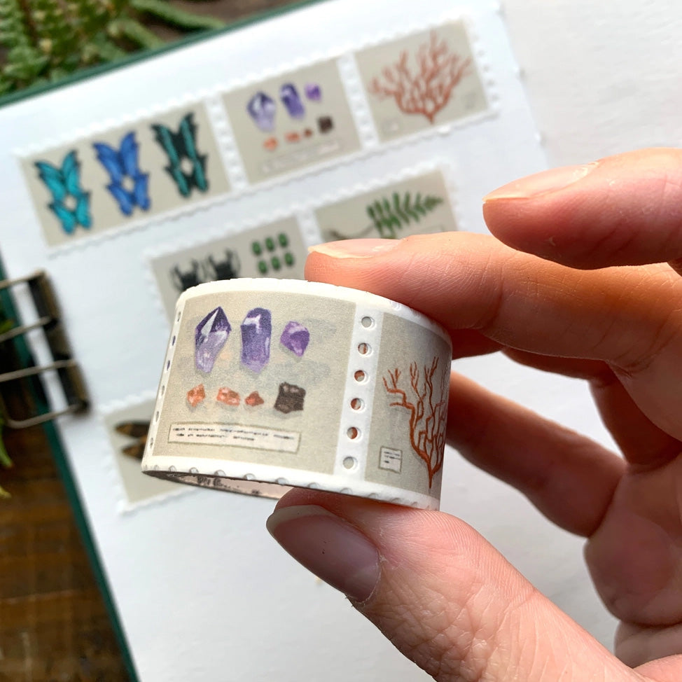 Specimen Drawer Stamp Washi Tape