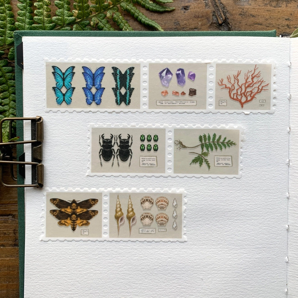 Specimen Drawer Stamp Washi Tape