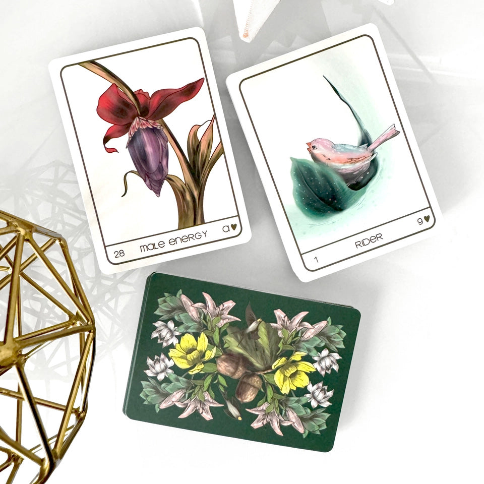 Terra Lenormand