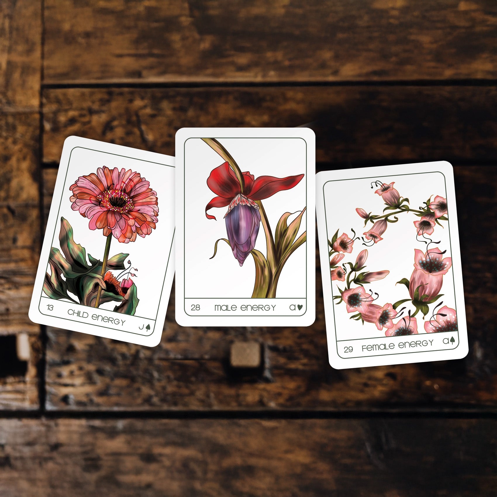 Terra Lenormand