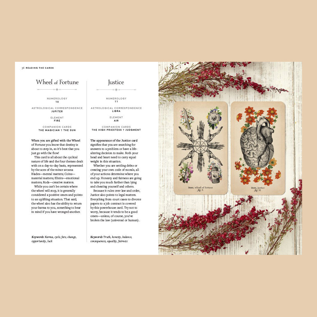 The Antique Anatomy Tarot