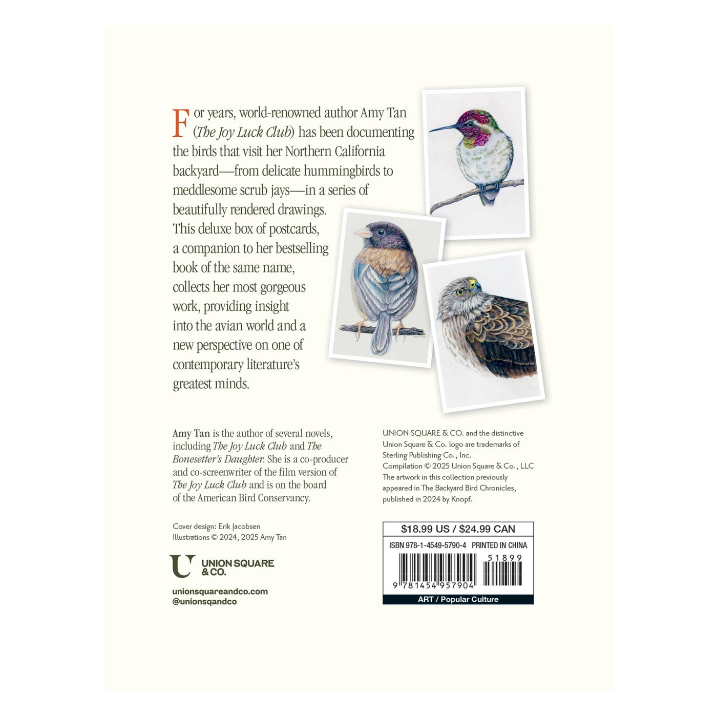 The Backyard Bird Chronicles: 50 Postcards