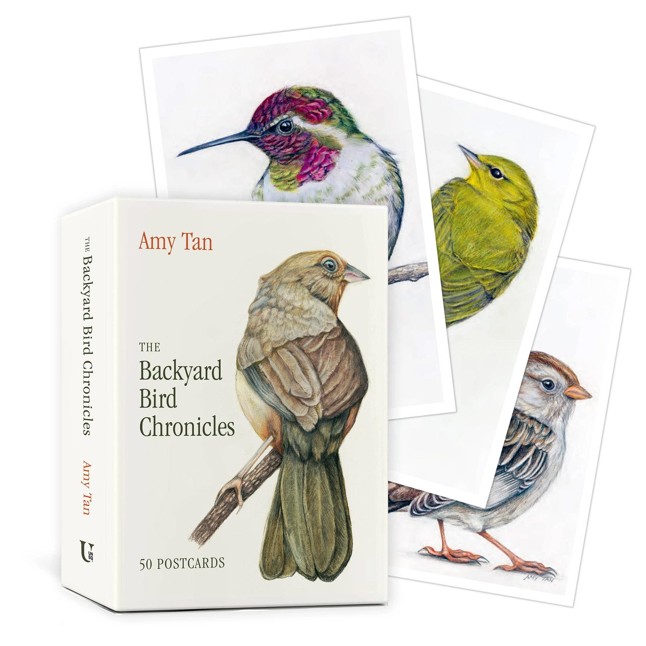 The Backyard Bird Chronicles: 50 Postcards