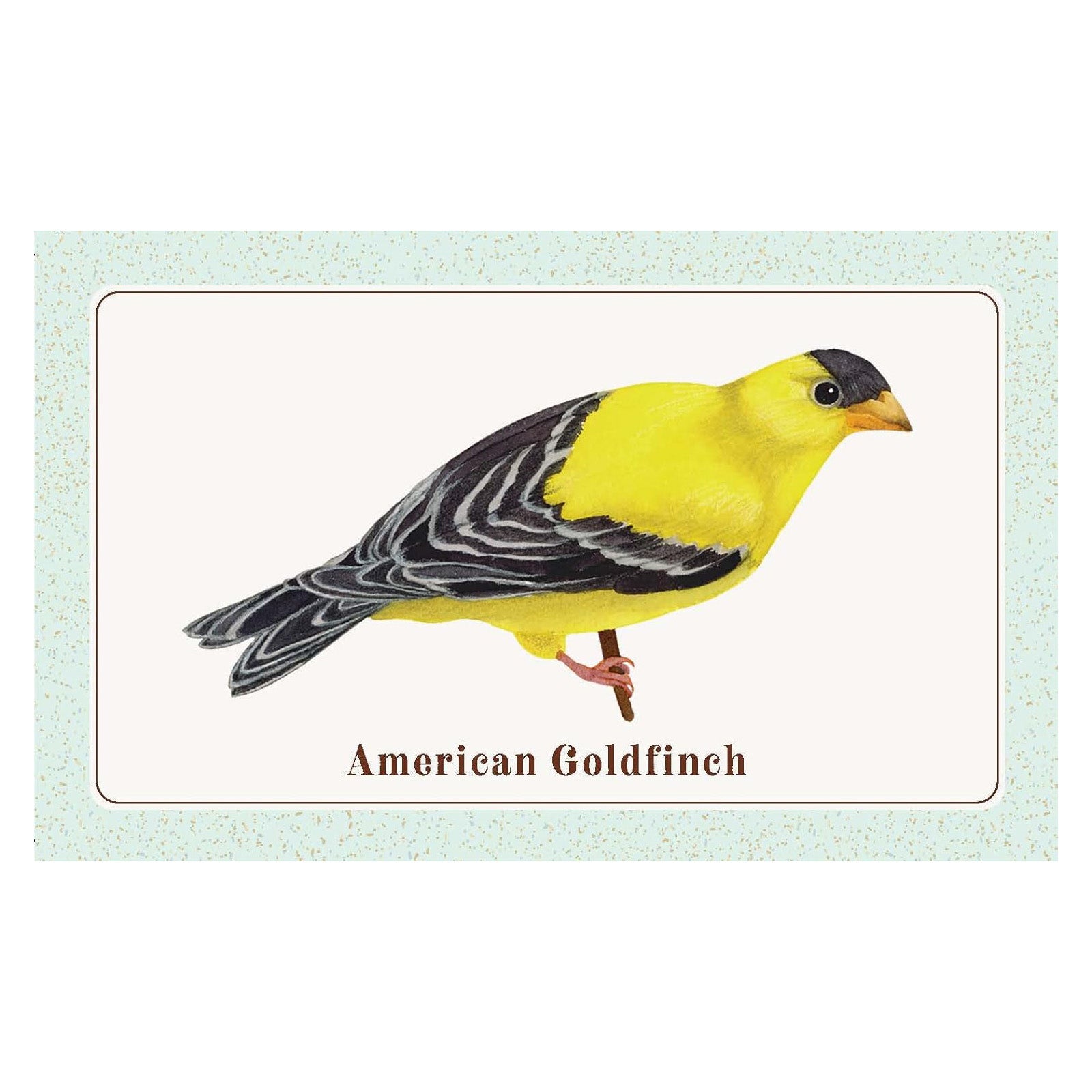 The Beginner Birder's Deck