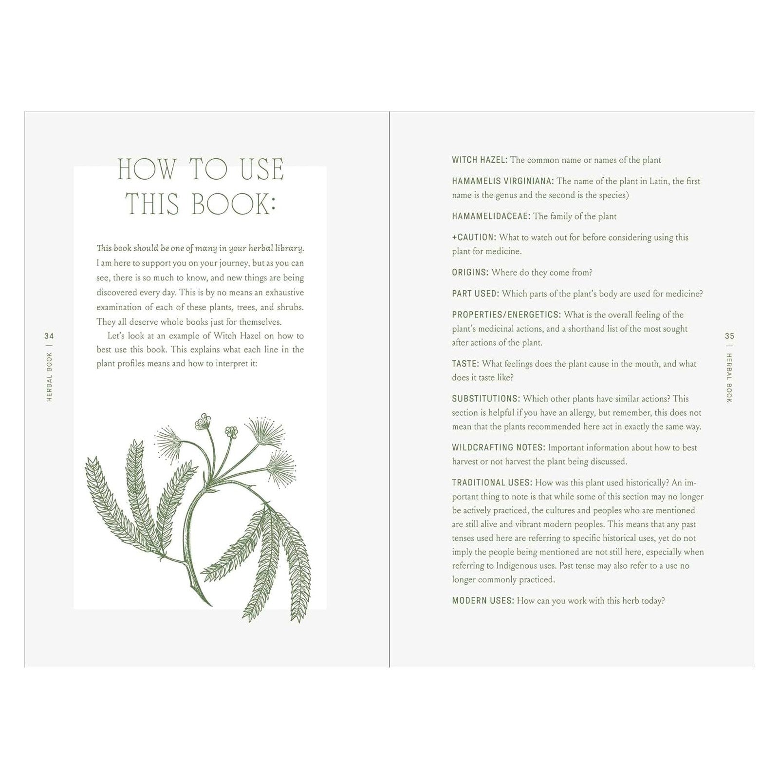 The Complete Folk Herbal