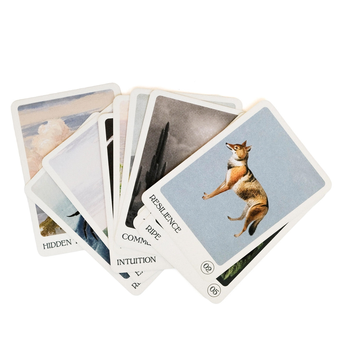 The Earth Oracle Deck