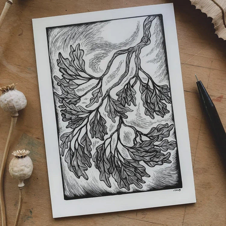 The Earth Speaks Oracle Deck