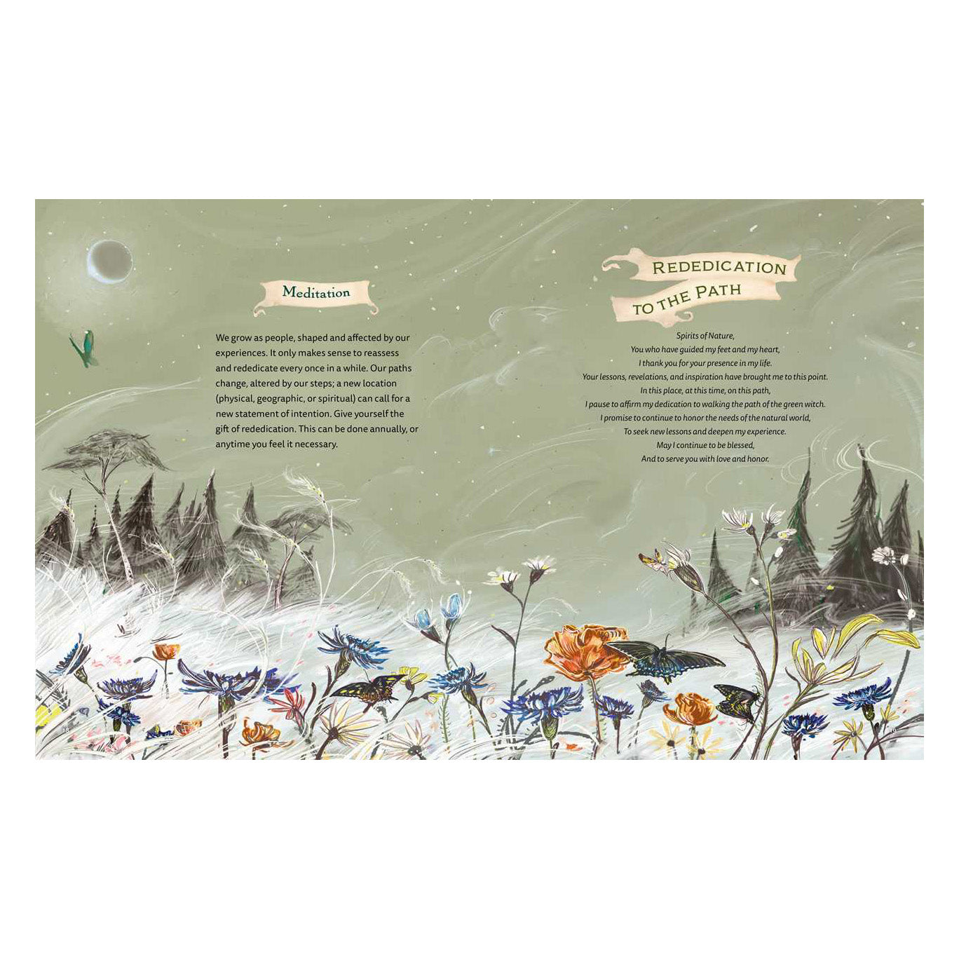 The Green Witch Illustrated