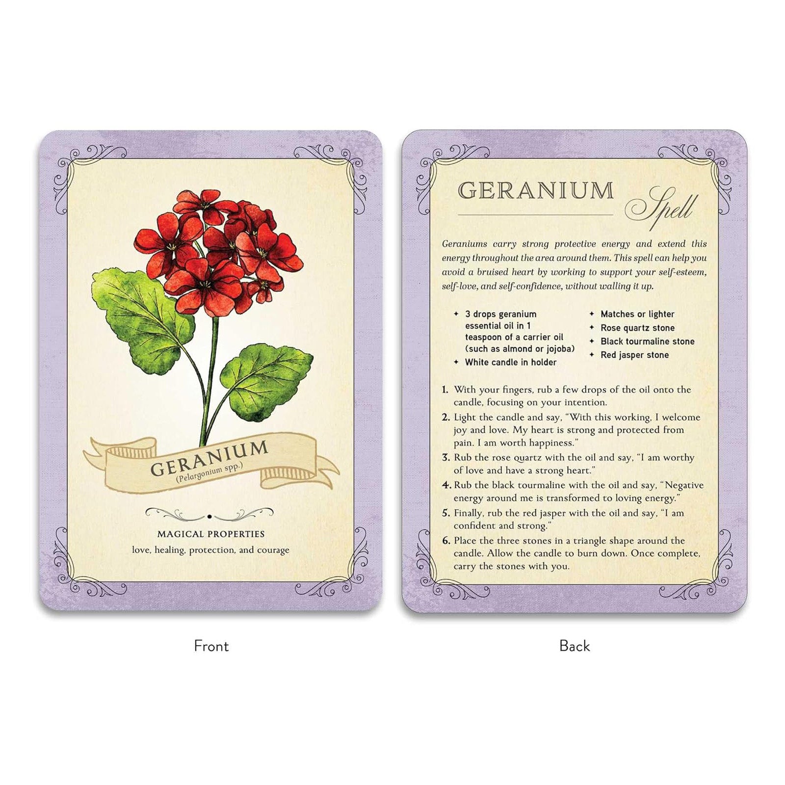 The Green Witch's Deck of Magical Herbalism