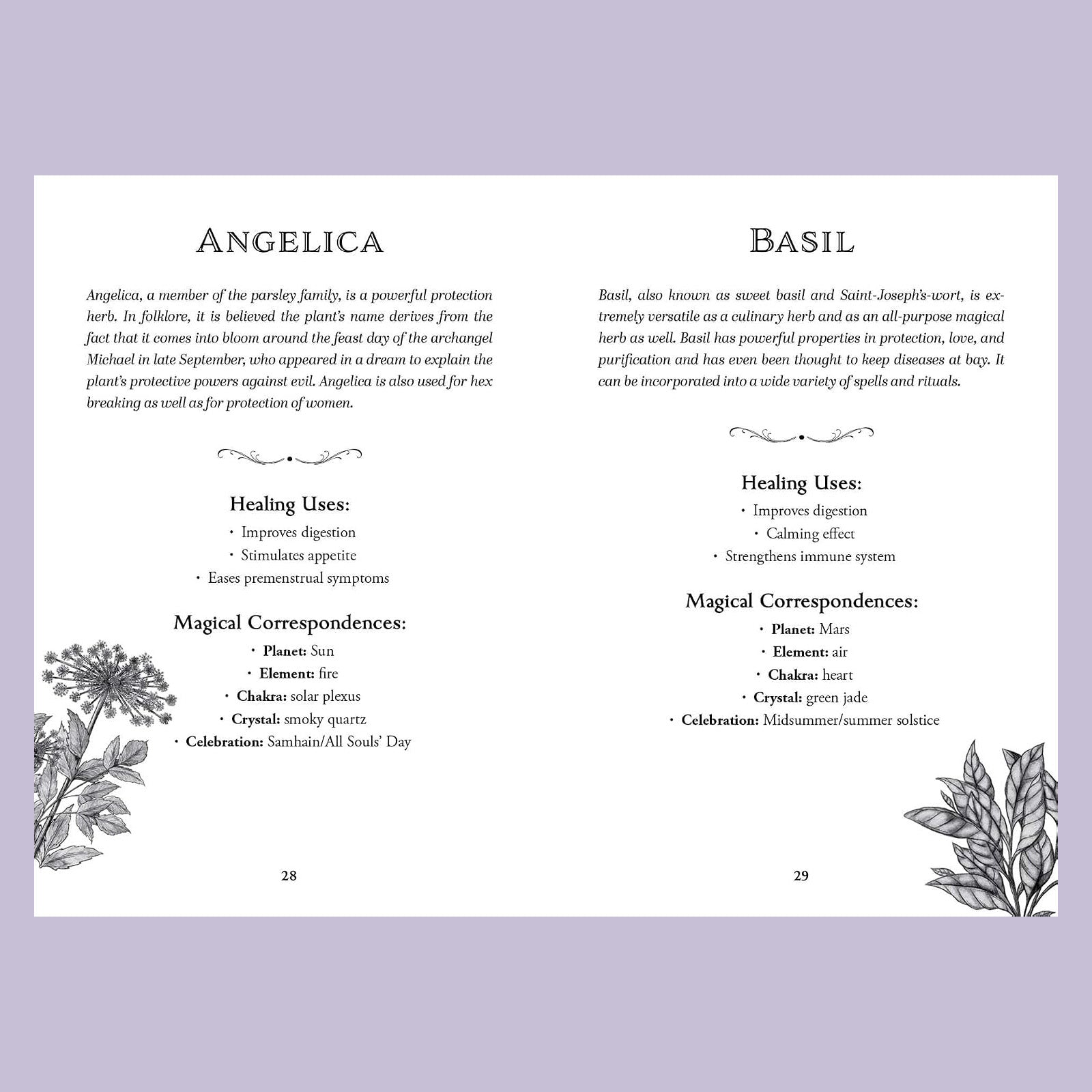 The Green Witch's Deck of Magical Herbalism