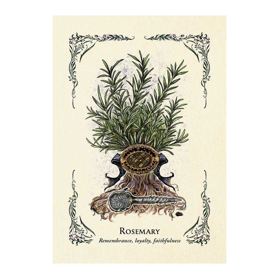 The Green Witch's Oracle Deck