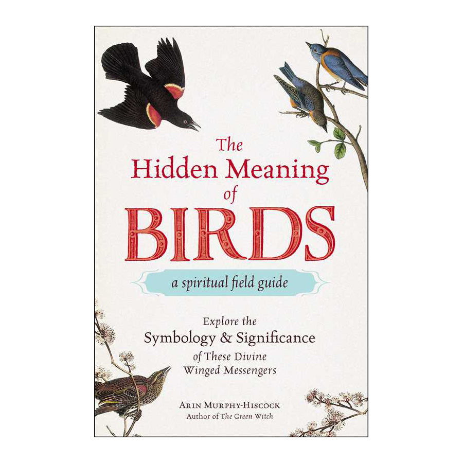 The Hidden Meaning of Birds