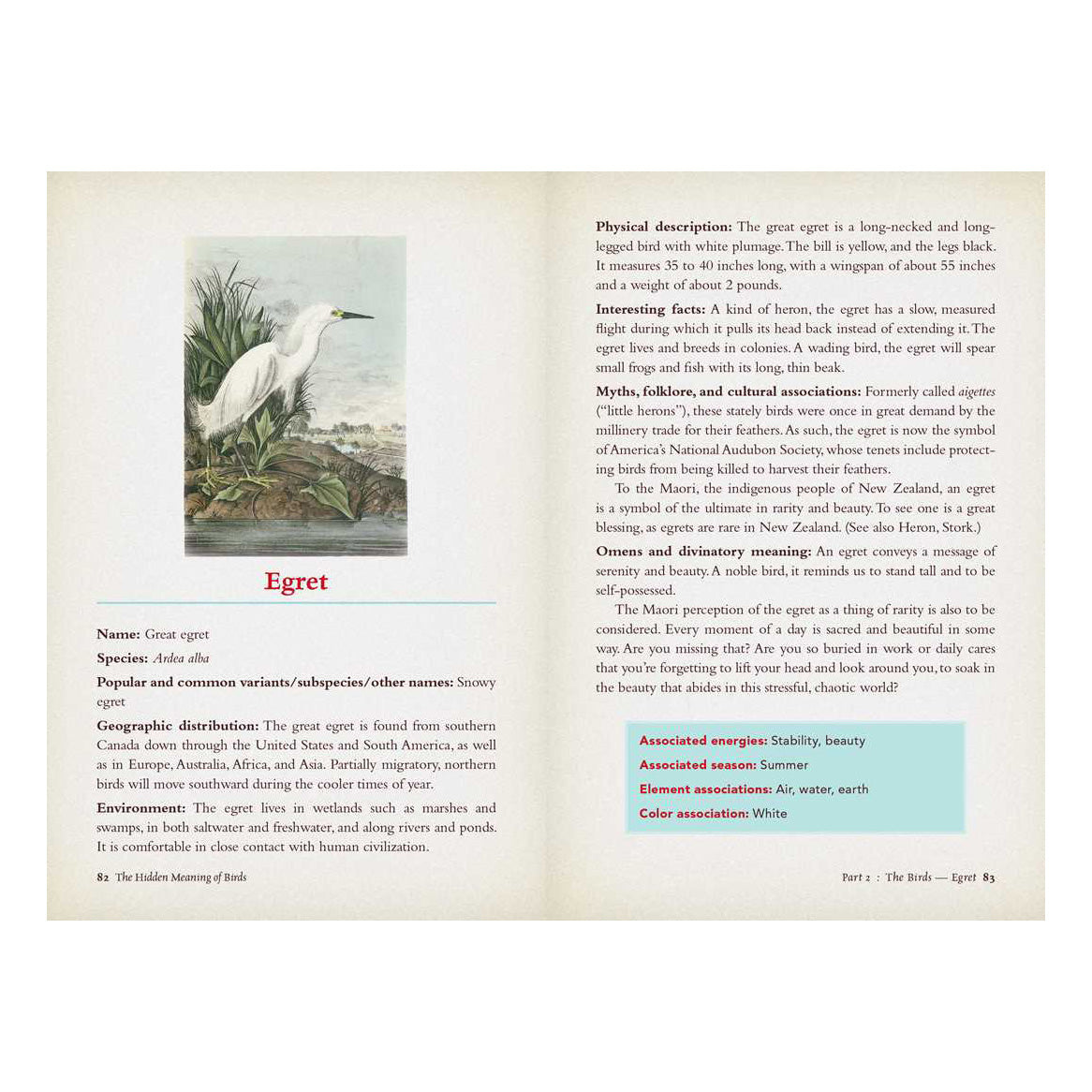 The Hidden Meaning of Birds