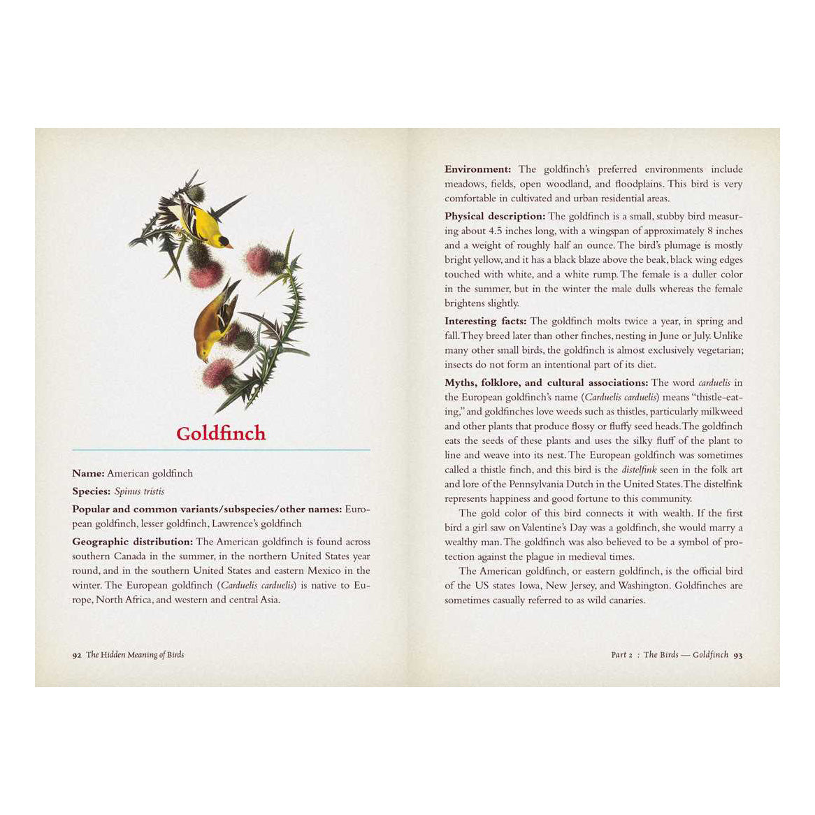 The Hidden Meaning of Birds