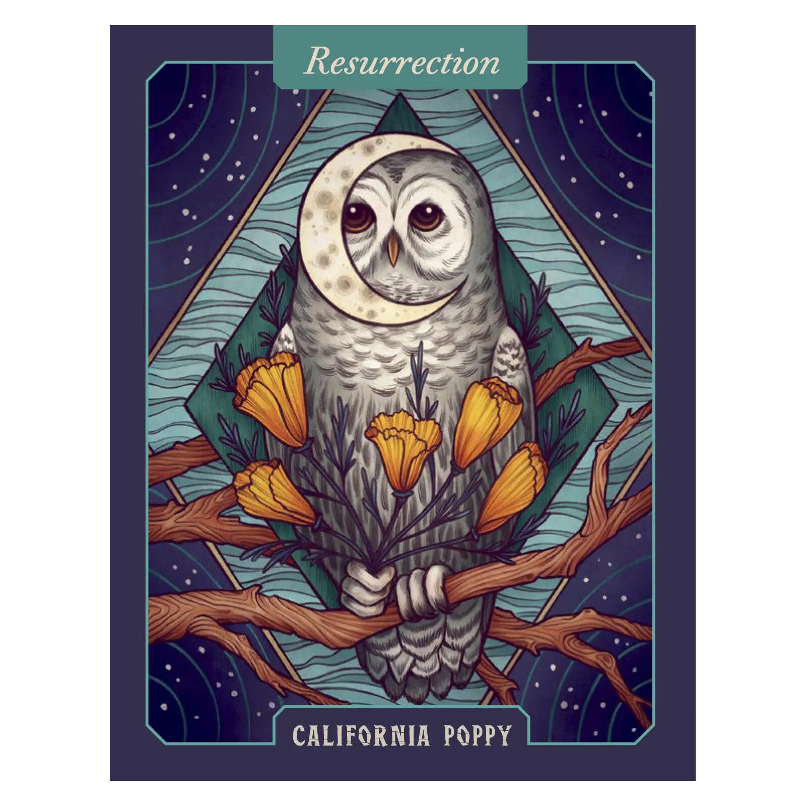 The Illustrated Herbiary Oracle Cards