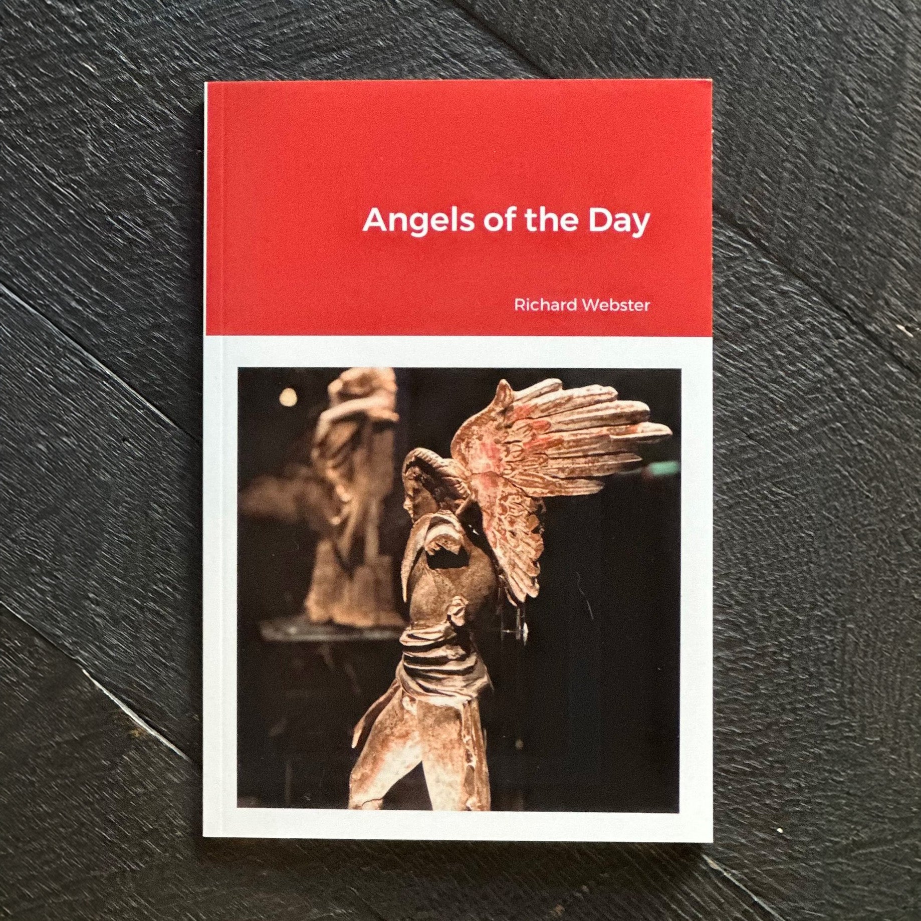 Angels of the Day - Richard Webster