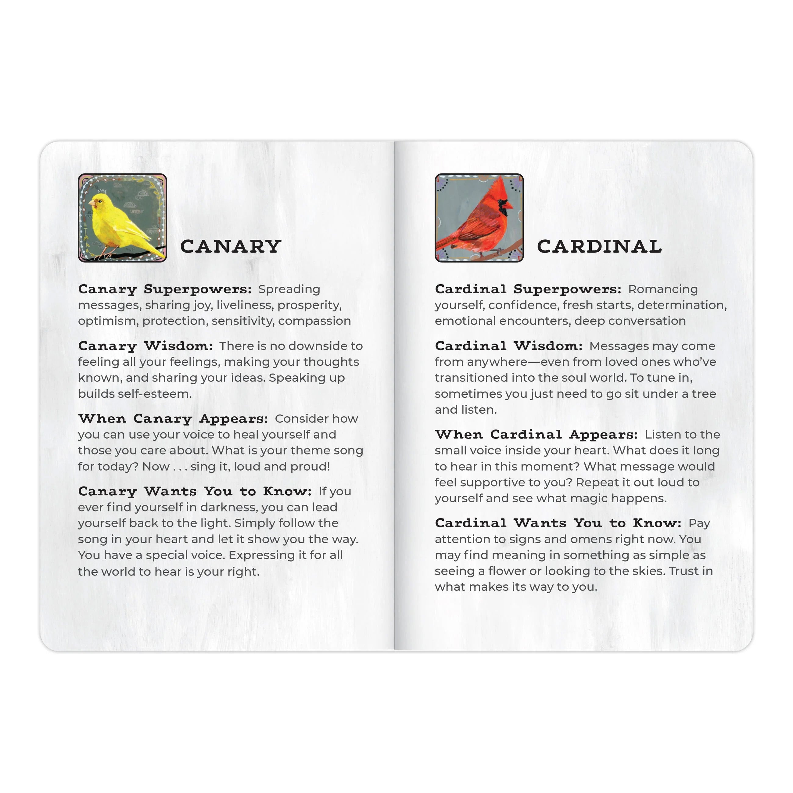 Animal Allies Birds Oracle Deck