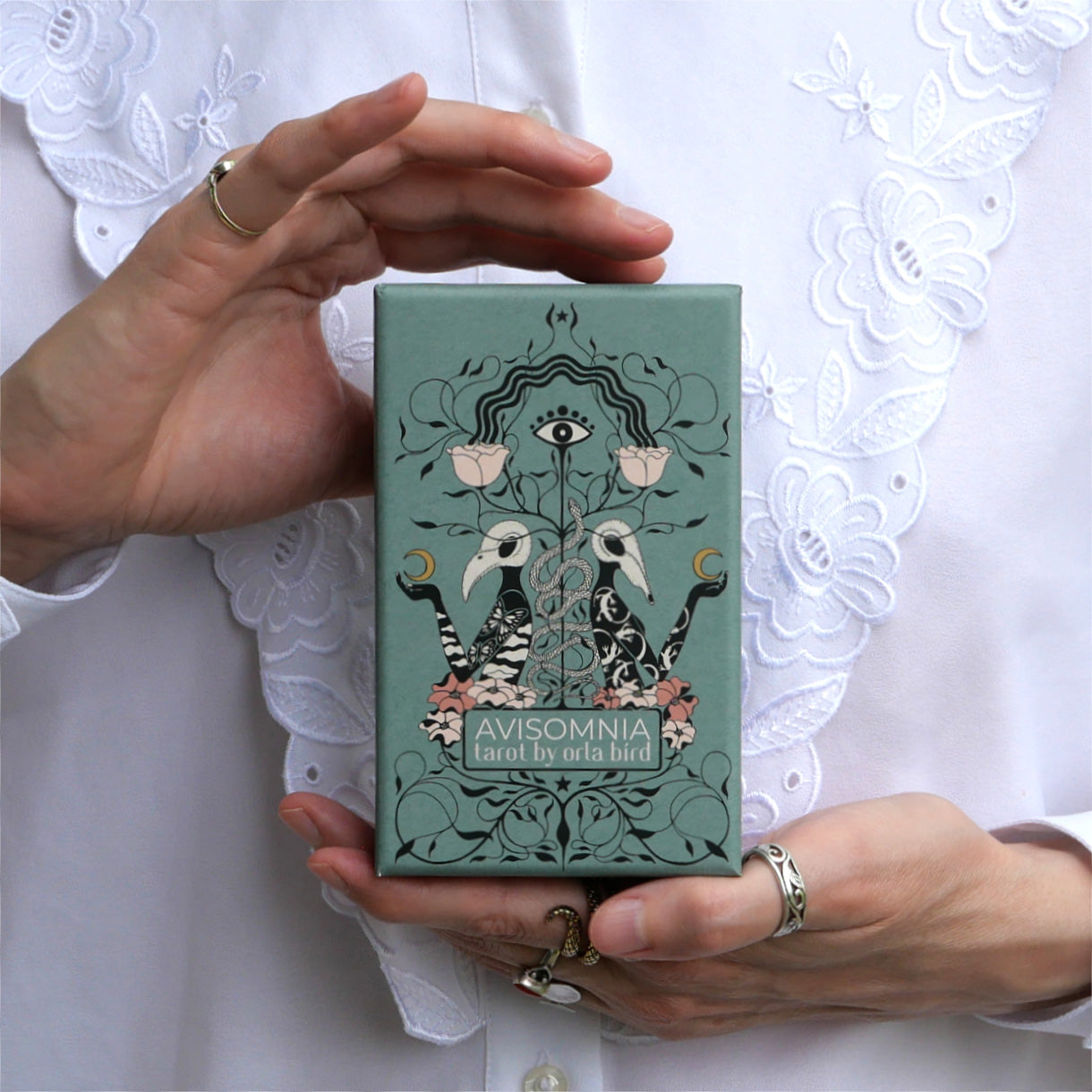 Avisomnia Tarot Deck