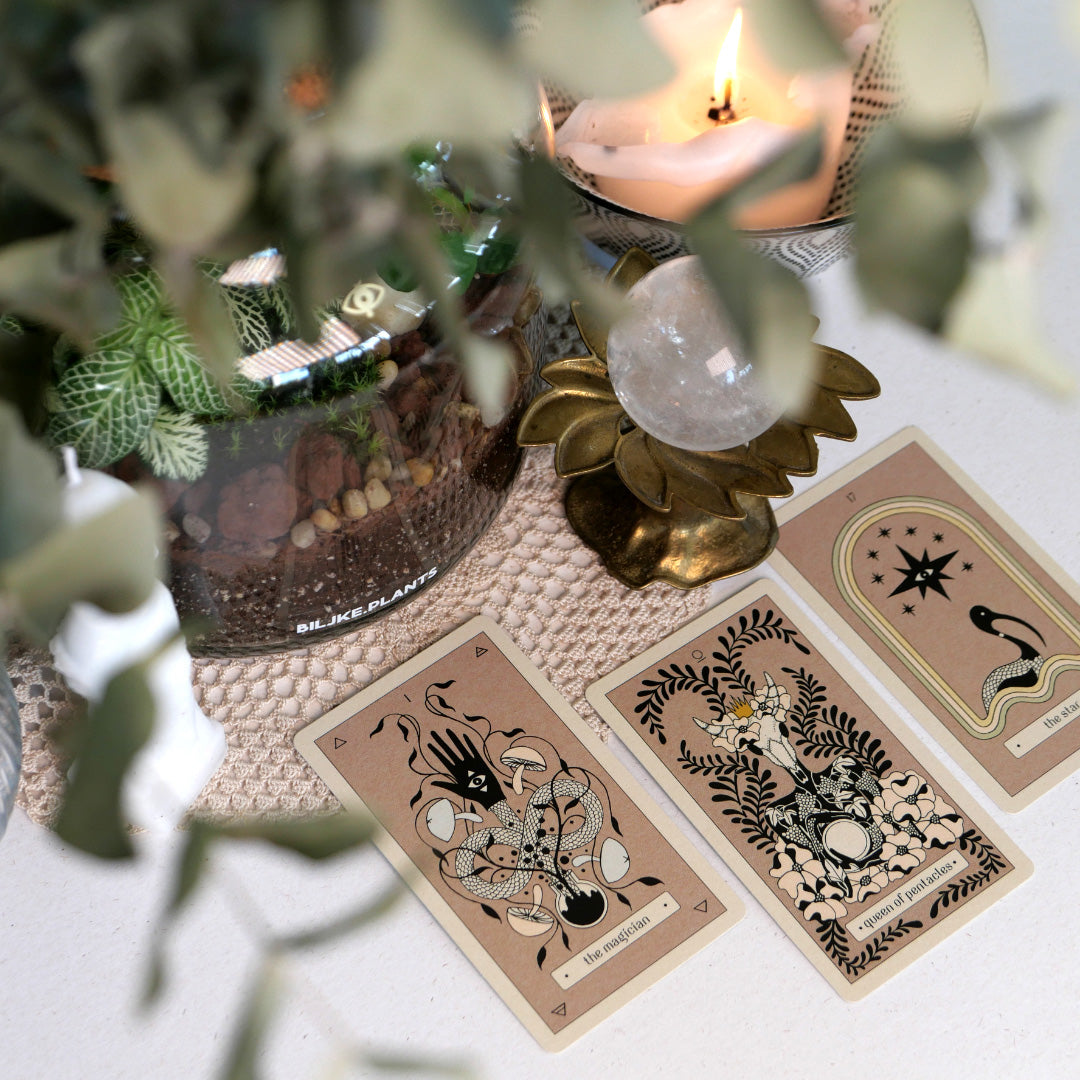 Avisomnia Tarot Deck