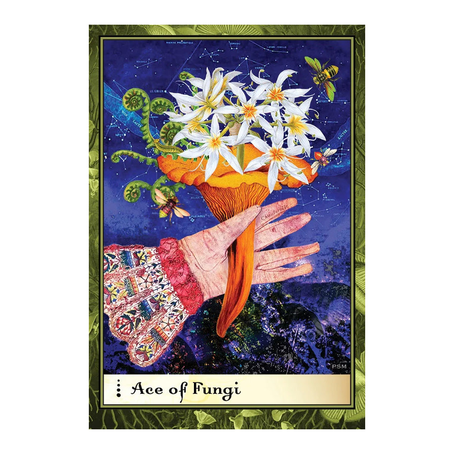 Boadicea's Tarot of Earthly Delights