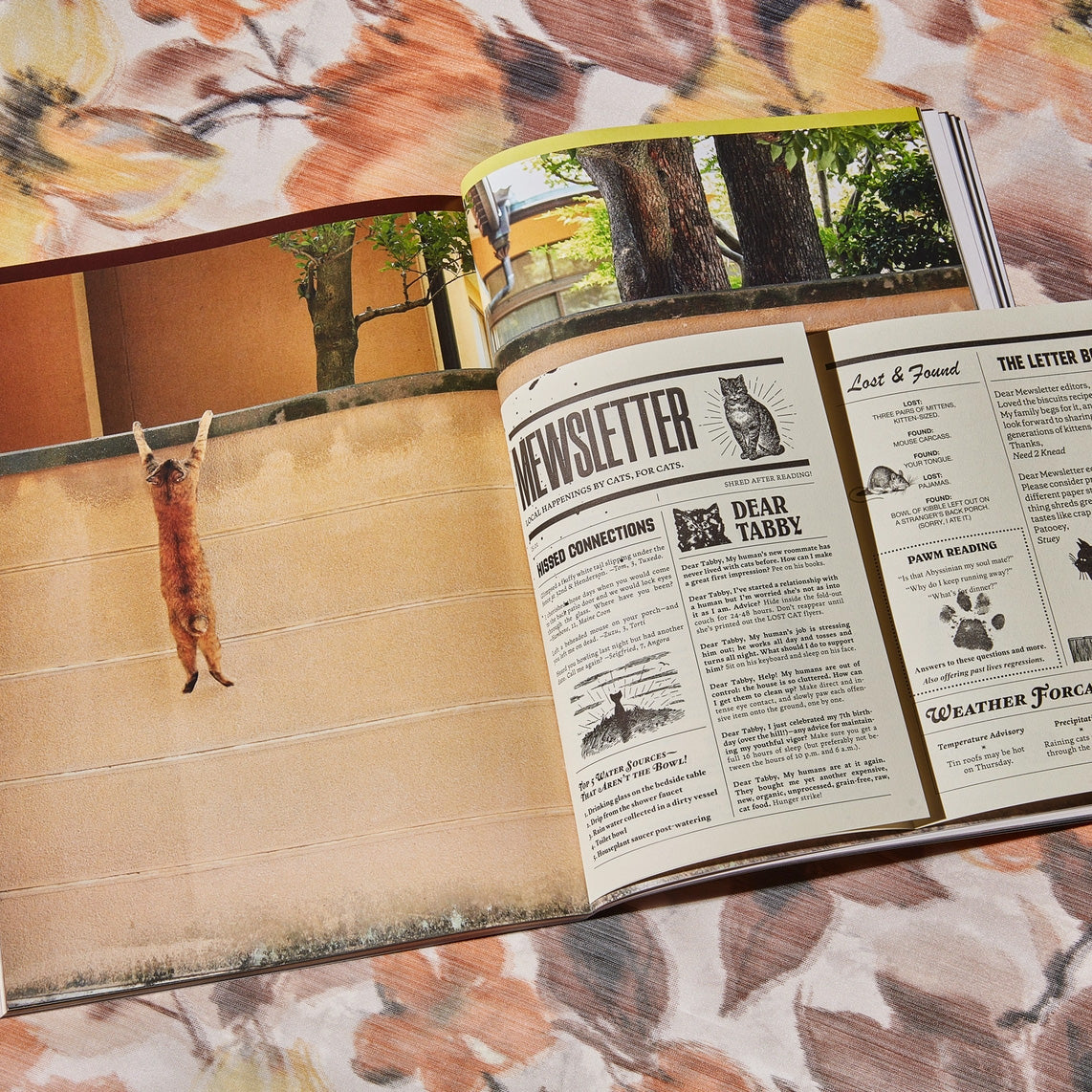 Catnip Magazine