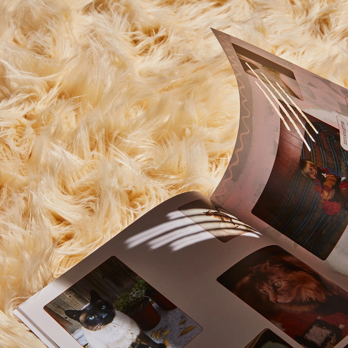 Catnip Magazine
